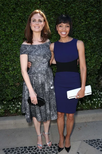 Emily Deschanel, Tamara Taylor — Zdjęcie stockowe