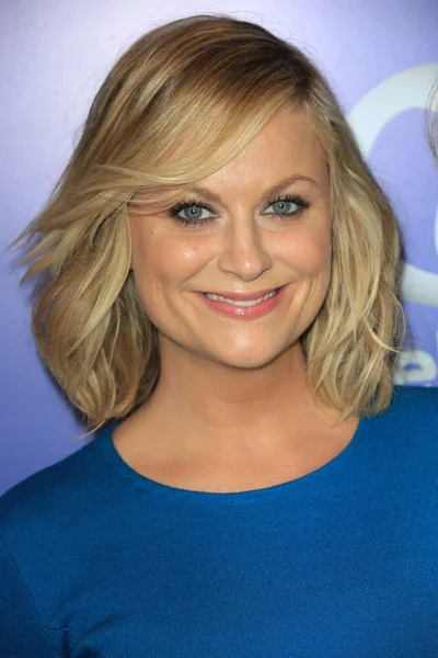 Amy Poehler — Stock Photo, Image