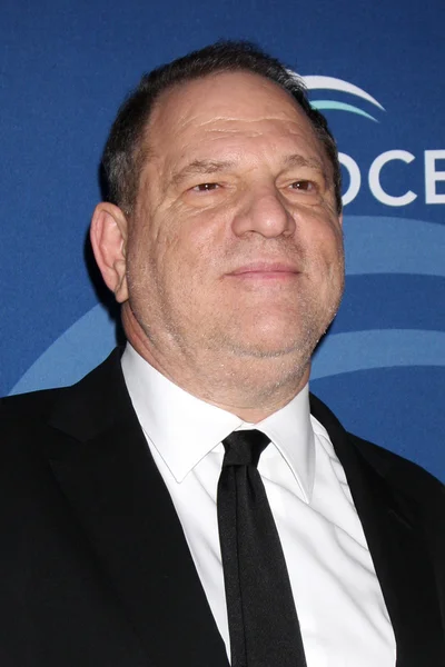 Harvey Weinstein Ordförande — Stockfoto