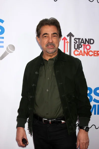 Joe Mantegna. — Foto de Stock