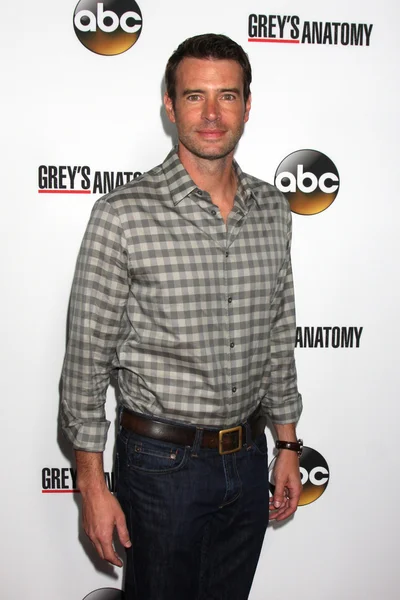 Scott Foley — Stock Photo, Image