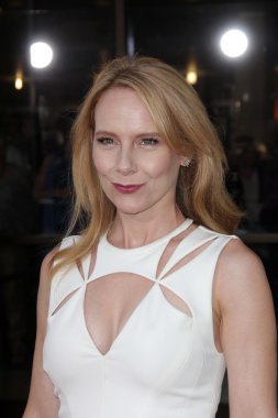 Amy Ryan