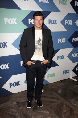 David Boreanaz