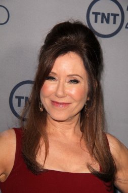 Mary Mcdonnell