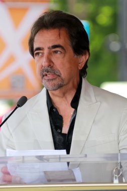 Joe Mantegna