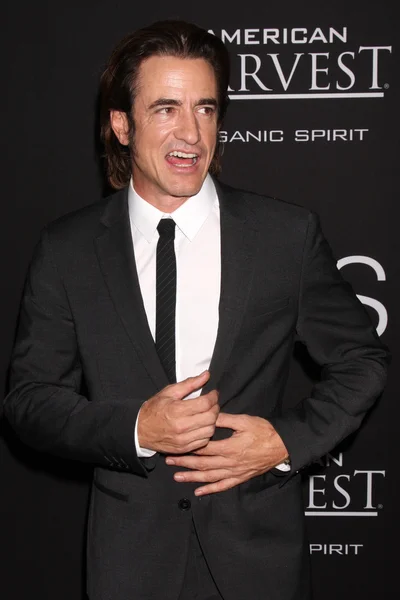 Dermot Mulroney —  Fotos de Stock