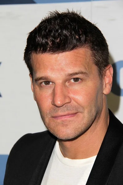 David Boreanaz — Stock Photo, Image