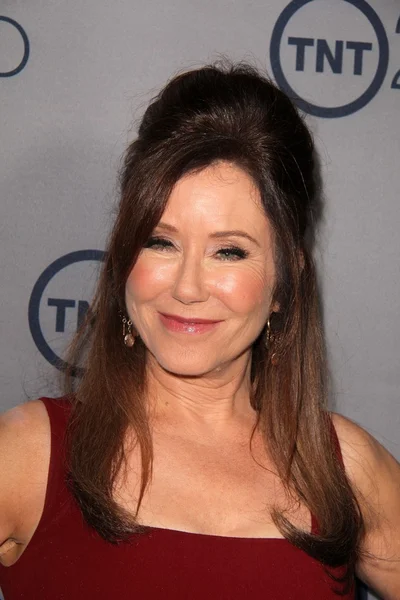 Mary McDonnell — Foto Stock