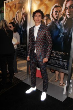Robert Sheehan