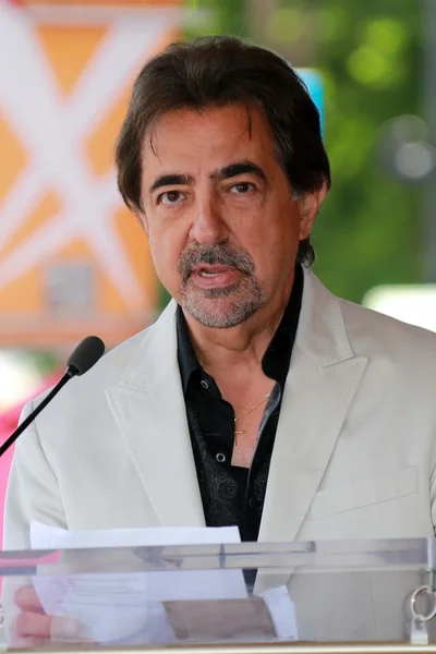 Joe Mantegna. —  Fotos de Stock