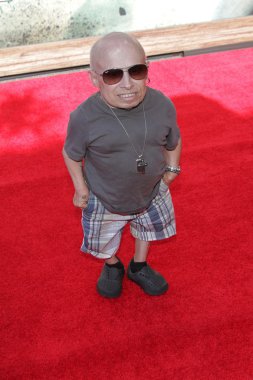 Verne Troyer