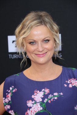 Amy Poehler