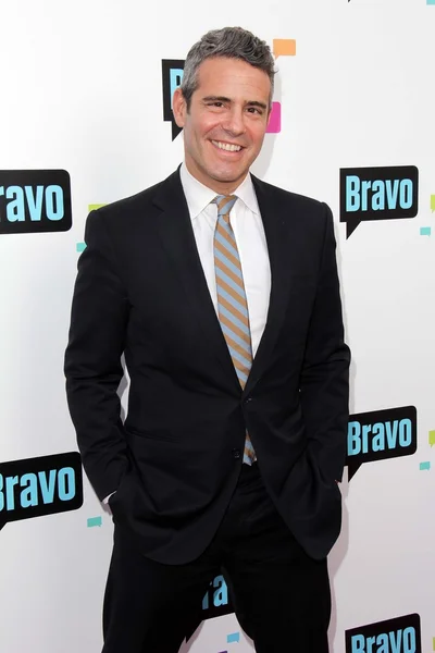 Andy Cohen. — Foto de Stock