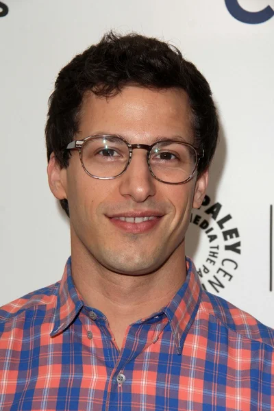 Andy Samberg — Stock fotografie