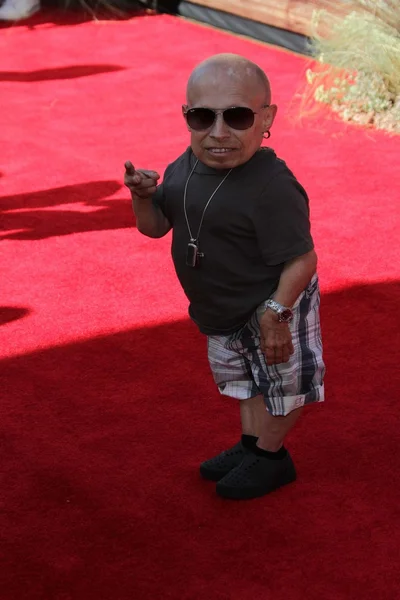 Verne Troyer — Stockfoto