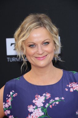 Amy Poehler