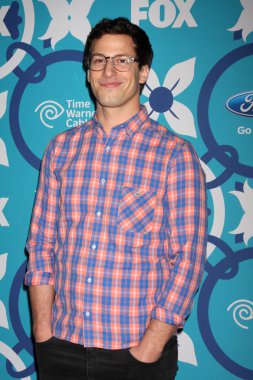 Andy Samberg
