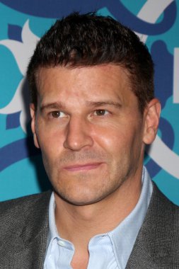 David Boreanaz