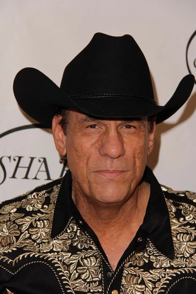 Robert Davi — Stockfoto