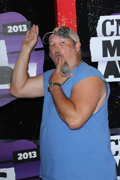 Larry The Cable Guy — Stockfoto