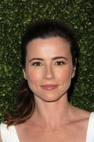 Linda Cardellini