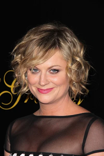 Amy Poehler — Stock Photo, Image