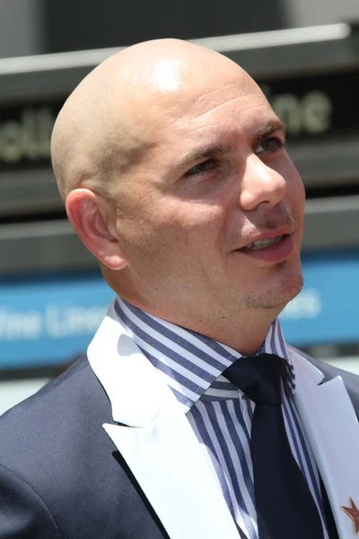 Pitbull — Foto Stock