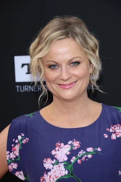 Amy Poehler — Stockfoto