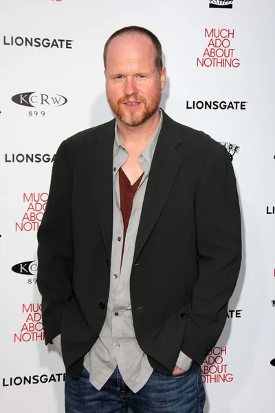 Joss Whedon — Stock fotografie