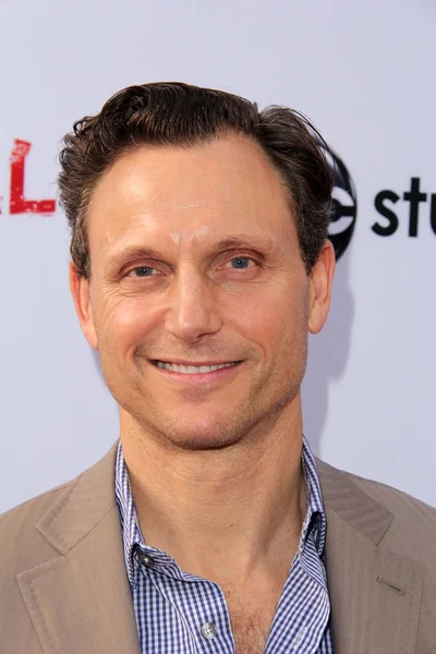 Tony Goldwyn — Stok Foto