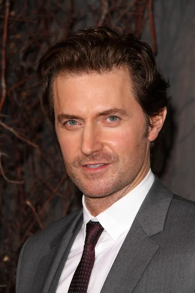 Richard armitage — Stockfoto