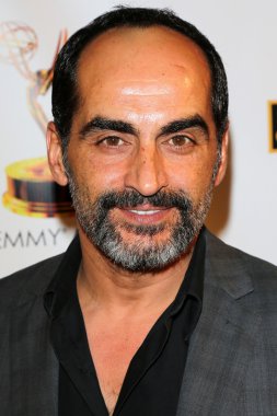 Navid Negahban