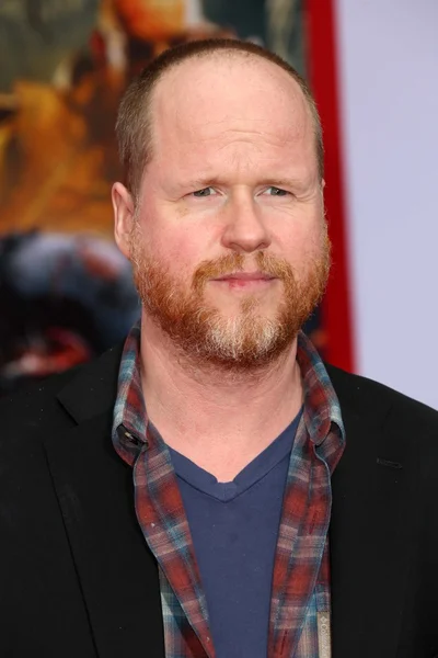 Joss Whedon — Zdjęcie stockowe