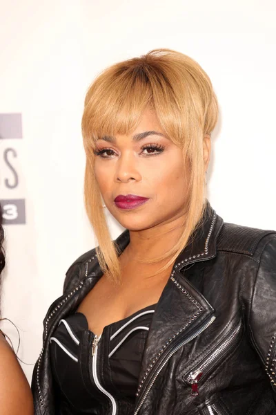 T-Boz — Stock Photo, Image