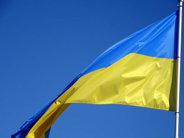       Mavi gökyüzünün arka planında rüzgarda uçan Ukrayna bayrakları                         