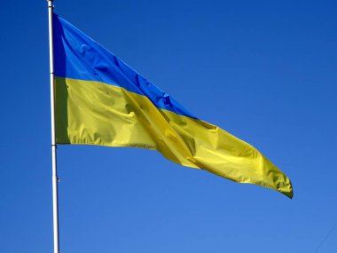       Mavi gökyüzünün arka planında rüzgarda uçan Ukrayna bayrakları                         