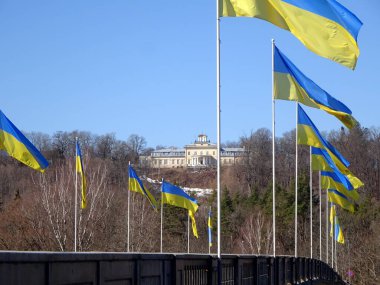                   Sigulda yakınlarındaki Gauja nehri üzerindeki köprüde bir sürü Ukrayna bayrağı var.             