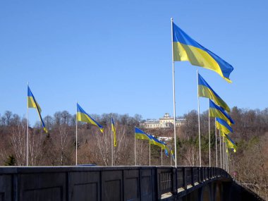                   Sigulda yakınlarındaki Gauja nehri üzerindeki köprüde bir sürü Ukrayna bayrağı var.             