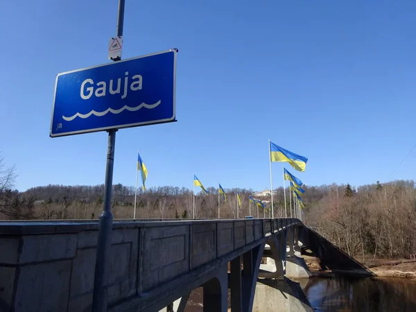 Sacco Bandiere Ucraine Sul Ponte Sul Fiume Gauja Vicino Sigulda — Foto Stock