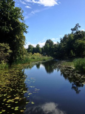 Yaz boyunca River Platone, Letonya. Yazın fazla büyümüş küçük bir nehir.