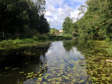 Yaz boyunca River Platone, Letonya. Yazın fazla büyümüş küçük bir nehir.