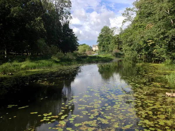 Yaz boyunca River Platone, Letonya. Yazın fazla büyümüş küçük bir nehir.