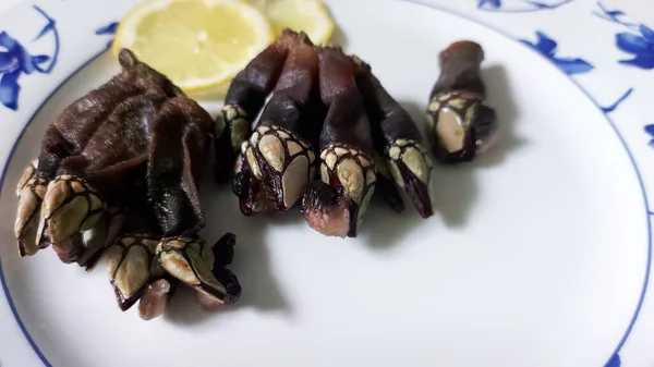 Grupo Percebes Ganso Pescoço Bando Frutos Mar Com Limão Placa — Fotografia de Stock