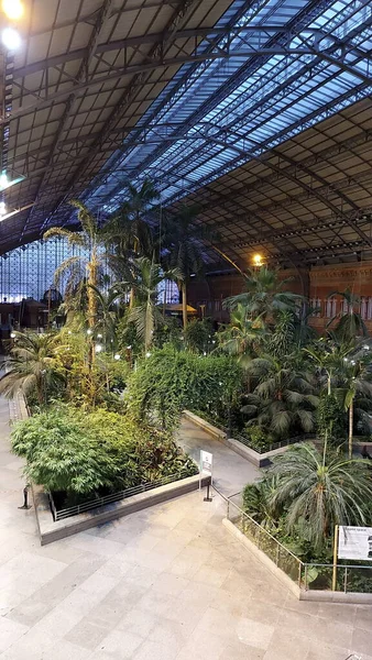 Madrid Spain June 2022 Beautiful Botanical Garden Atocha Train Station — Stockfoto