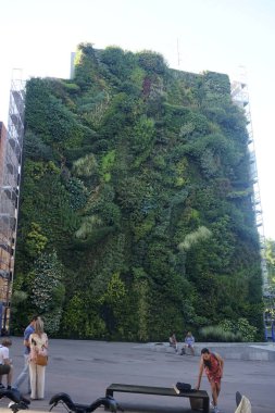 MADRID, SPAIN, 19 Haziran 2022 Paseo del Prado Bulvarı 'ndaki modern sanat merkezinin yanındaki dikey bahçe. Madrid 'de yeşil duvar. Botanikçi Patrick Blanc 'ın Bitkiler Cephesi.
