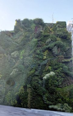 MADRID, SPAIN, 19 Haziran 2022 Paseo del Prado Bulvarı 'ndaki modern sanat merkezinin yanındaki dikey bahçe. Madrid 'de yeşil duvar. Botanikçi Patrick Blanc 'ın Bitkiler Cephesi.