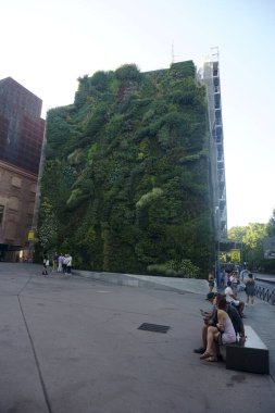 MADRID, SPAIN, 19 Haziran 2022 Paseo del Prado Bulvarı 'ndaki modern sanat merkezinin yanındaki dikey bahçe. Madrid 'de yeşil duvar. Botanikçi Patrick Blanc 'ın Bitkiler Cephesi.