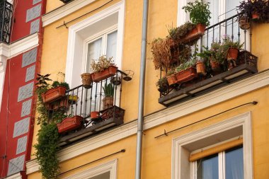   Yazın çeşitli yeşil bitkilerle dolu güzel bir balkona sahip tipik bir İspanyol evinin ön cephesi. Metal parmaklıklı balkon..                            