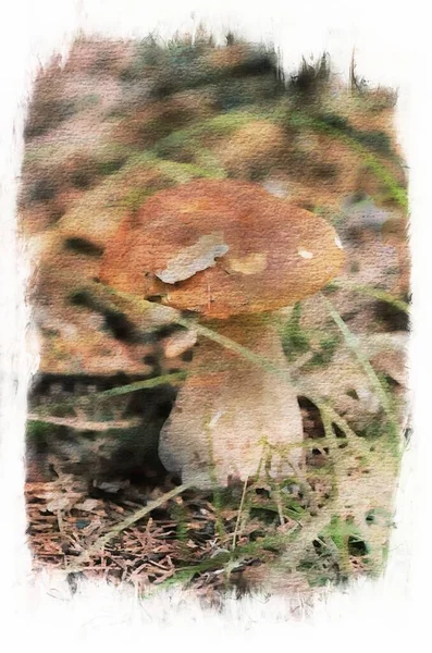 Edible Mushrooms Mushroom Autumn Forest Digital Watercolor Painting — 图库照片