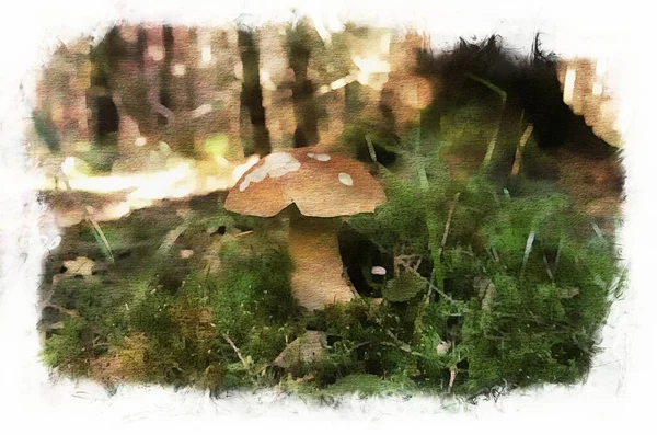 Edible Mushrooms Mushroom Autumn Forest Digital Watercolor Painting — ストック写真